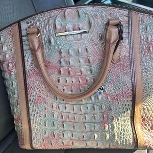 Brahmin Purse